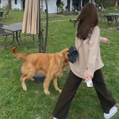 战火中的女神