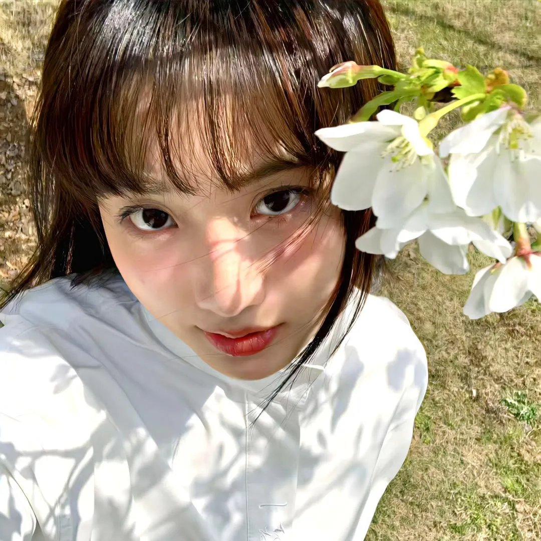 狗脸的日子